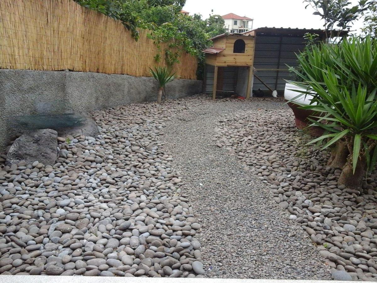 Cottage Quinze, Contemporary Designed Cottage With Swimming Pool Ponta Delgada  Exteriör bild