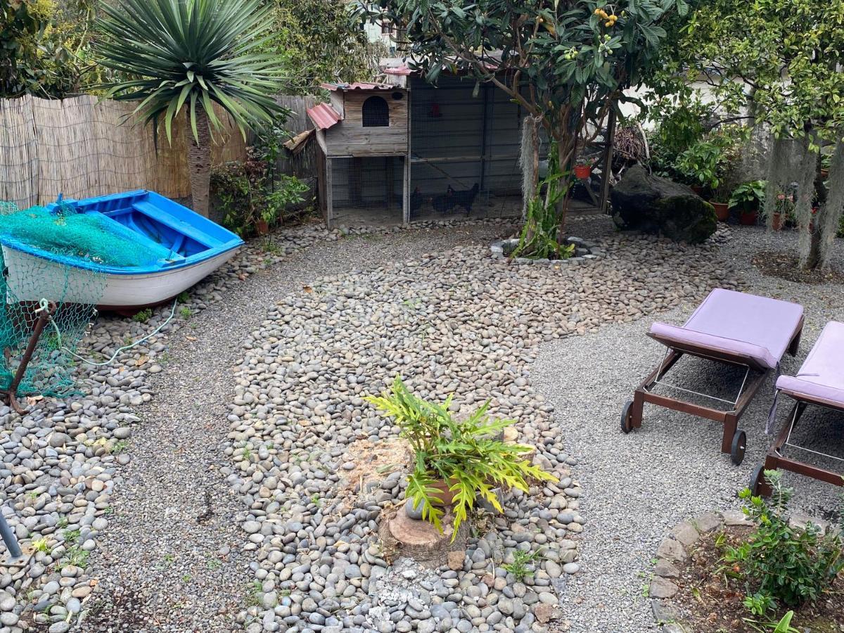 Cottage Quinze, Contemporary Designed Cottage With Swimming Pool Ponta Delgada  Exteriör bild